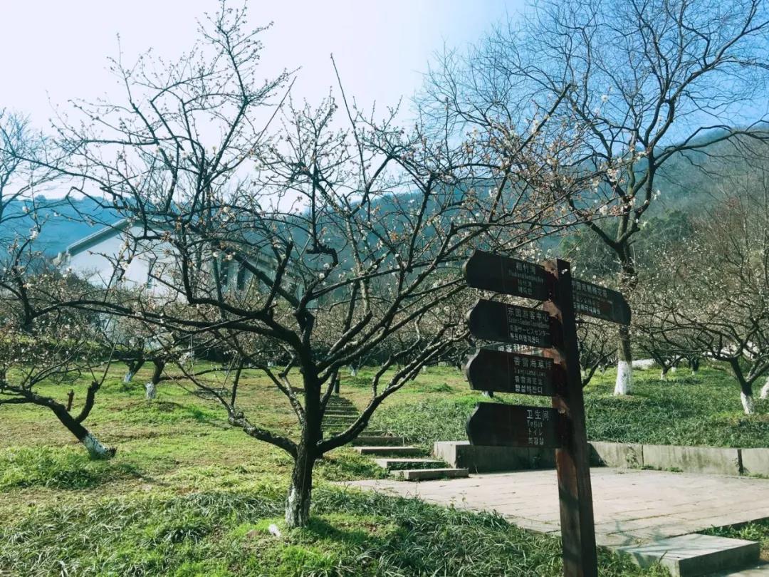 1523932270416.jpg 微信图片03.jpg