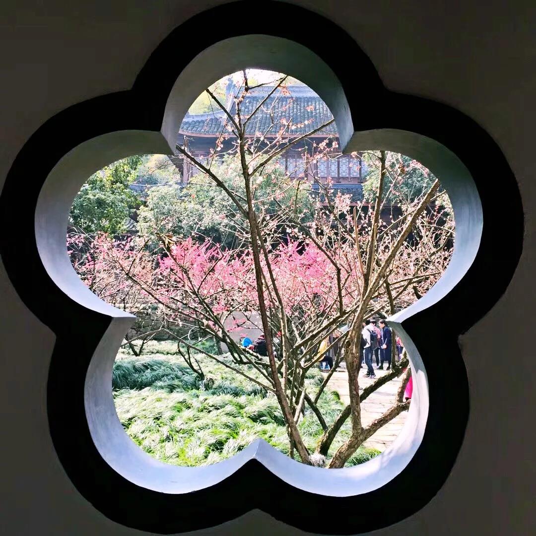 1523932359645.jpg 微信图片08.jpg